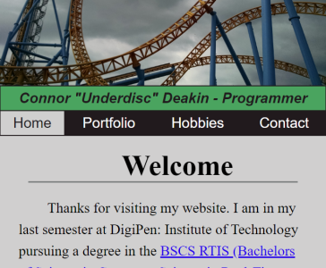 Old website homepage